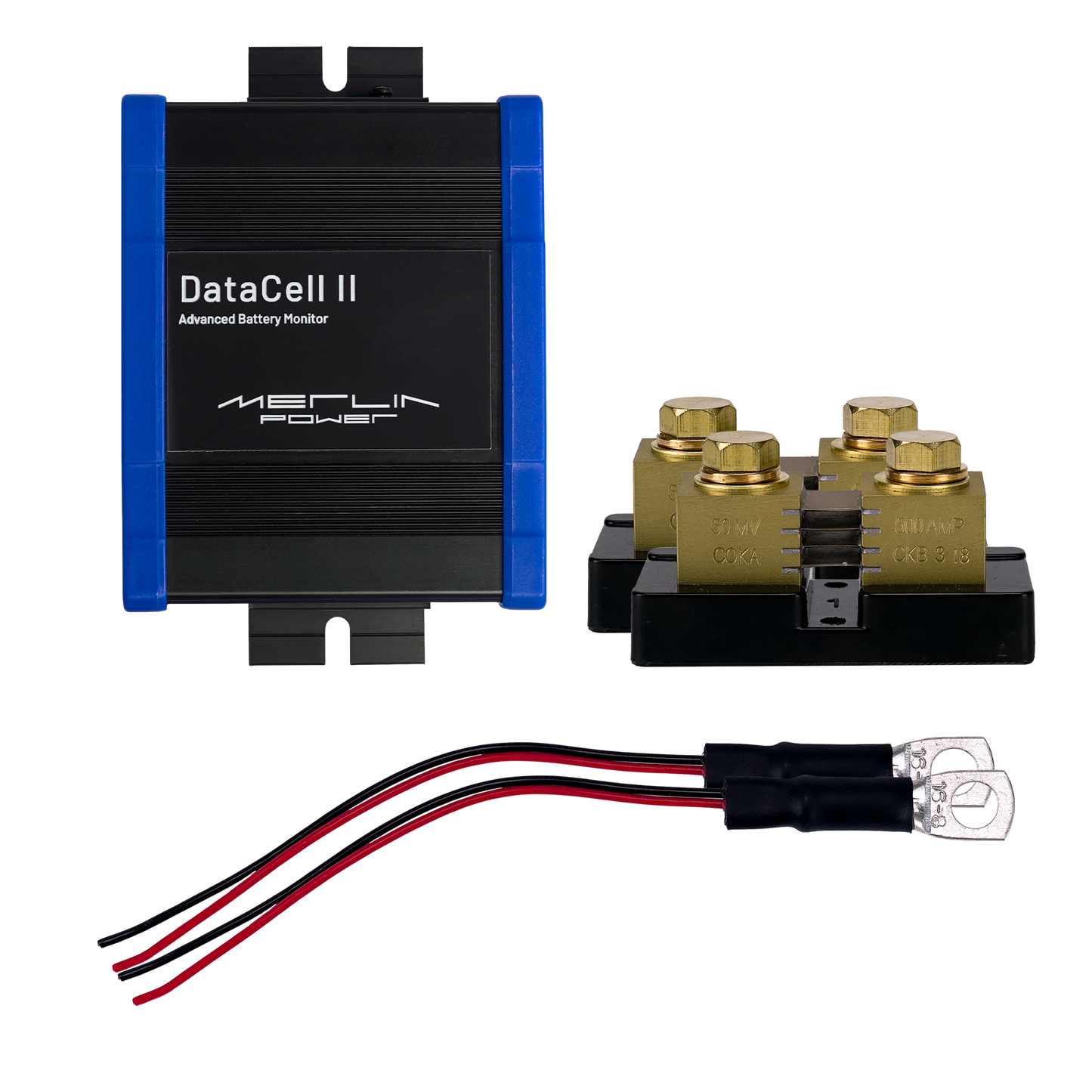 DataCell II - 12/24V 2 Battery