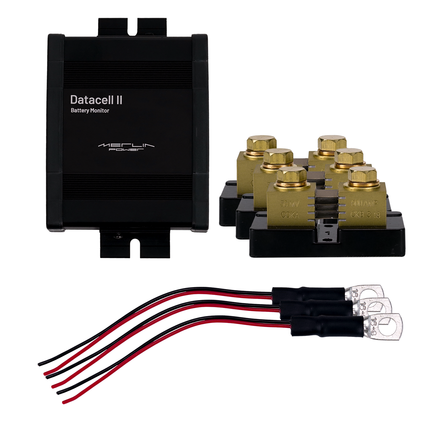 DataCell II - 12/24V 3 Battery