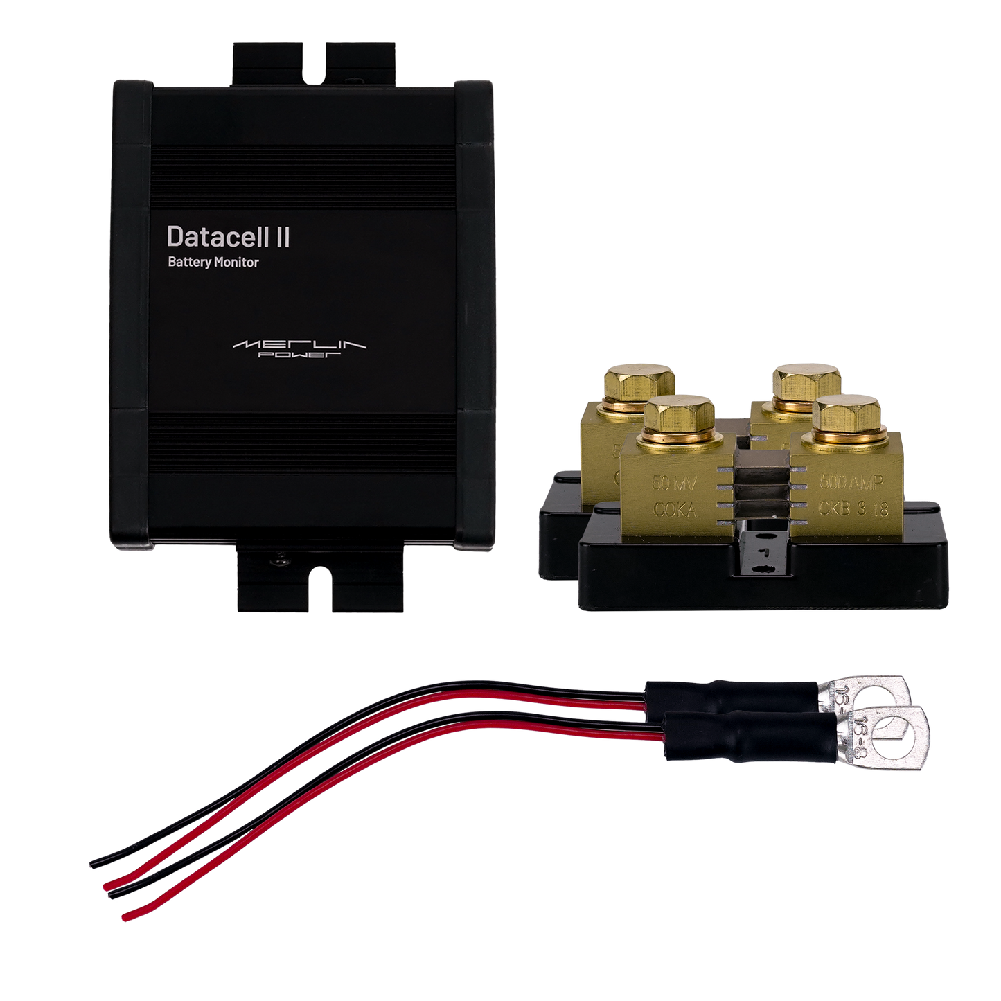 DataCell II - 12/24V 2 Battery