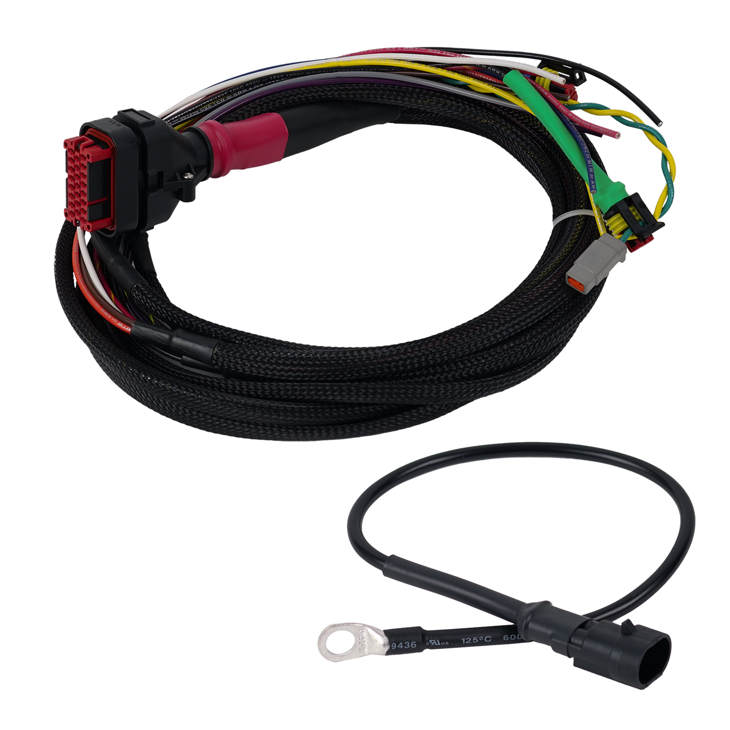 Wakespeed Advanced Wiring Harness (Positive) with CAN