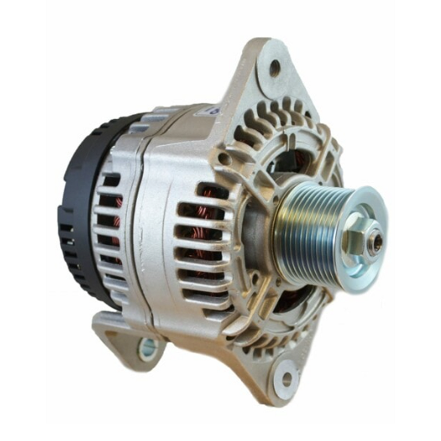 Alternator, 96 Series, 100a, 48v, SaddleMT, 4in, DualPul