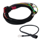 Wakespeed Advanced Wiring Harness (Positive) with CAN